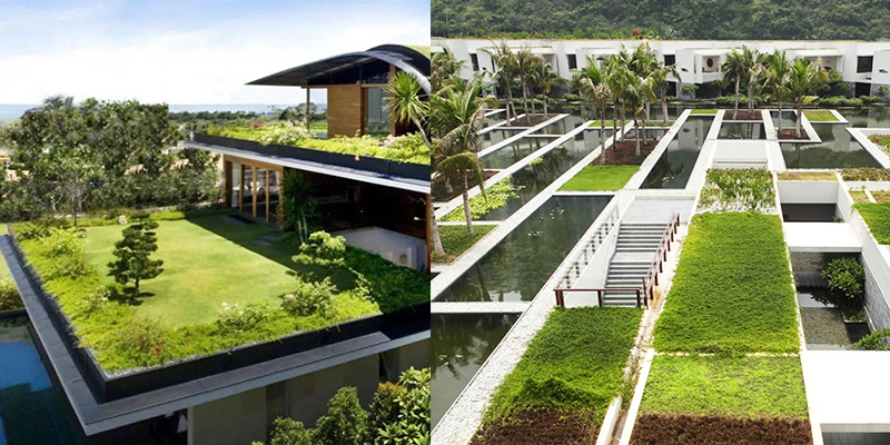 20251013090728425326.jpg 05.jpg